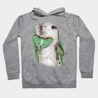 Luna Moths Hoodie